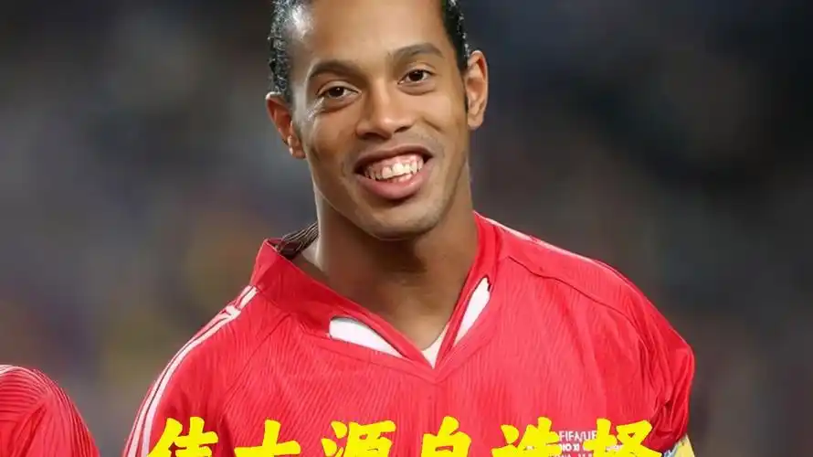 的双护盾硬